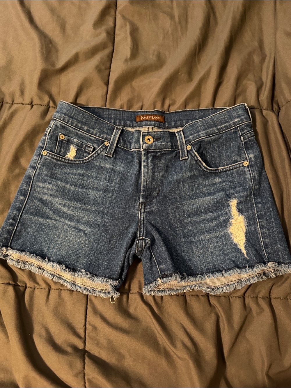 James Jeans Distressed Dark Blue Denim Women’s Shorts